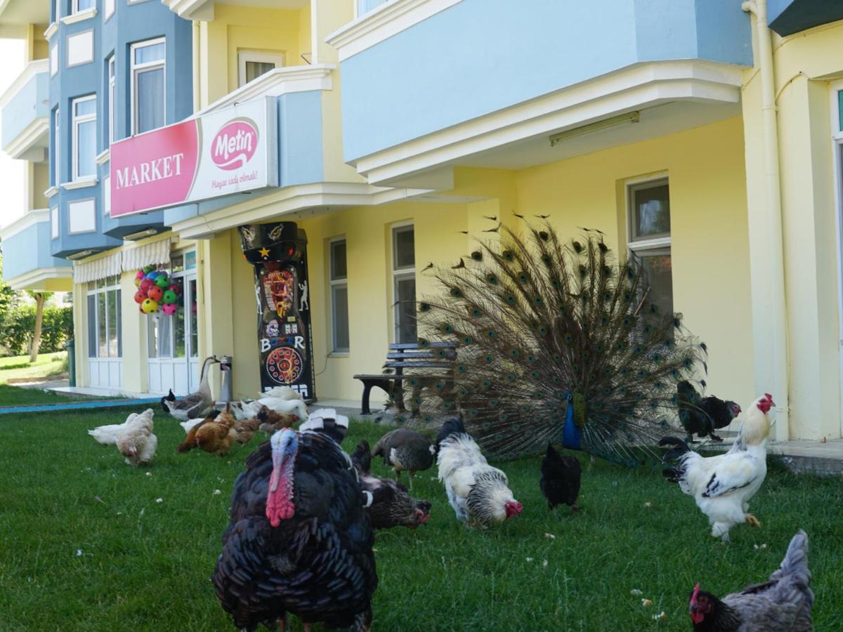Basaranlar Thermal Otel Gazligol Exteriér fotografie