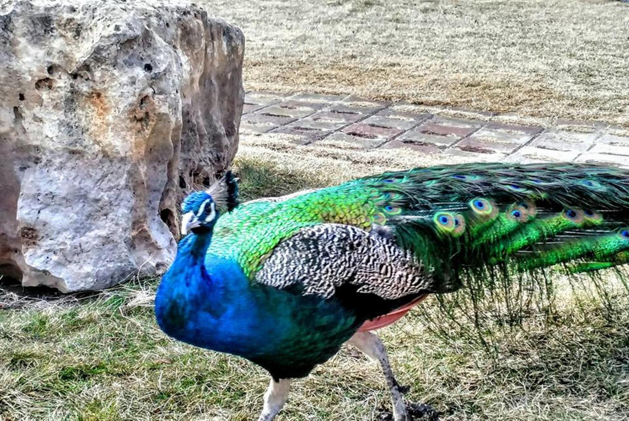 Basaranlar Thermal Otel Gazligol Exteriér fotografie